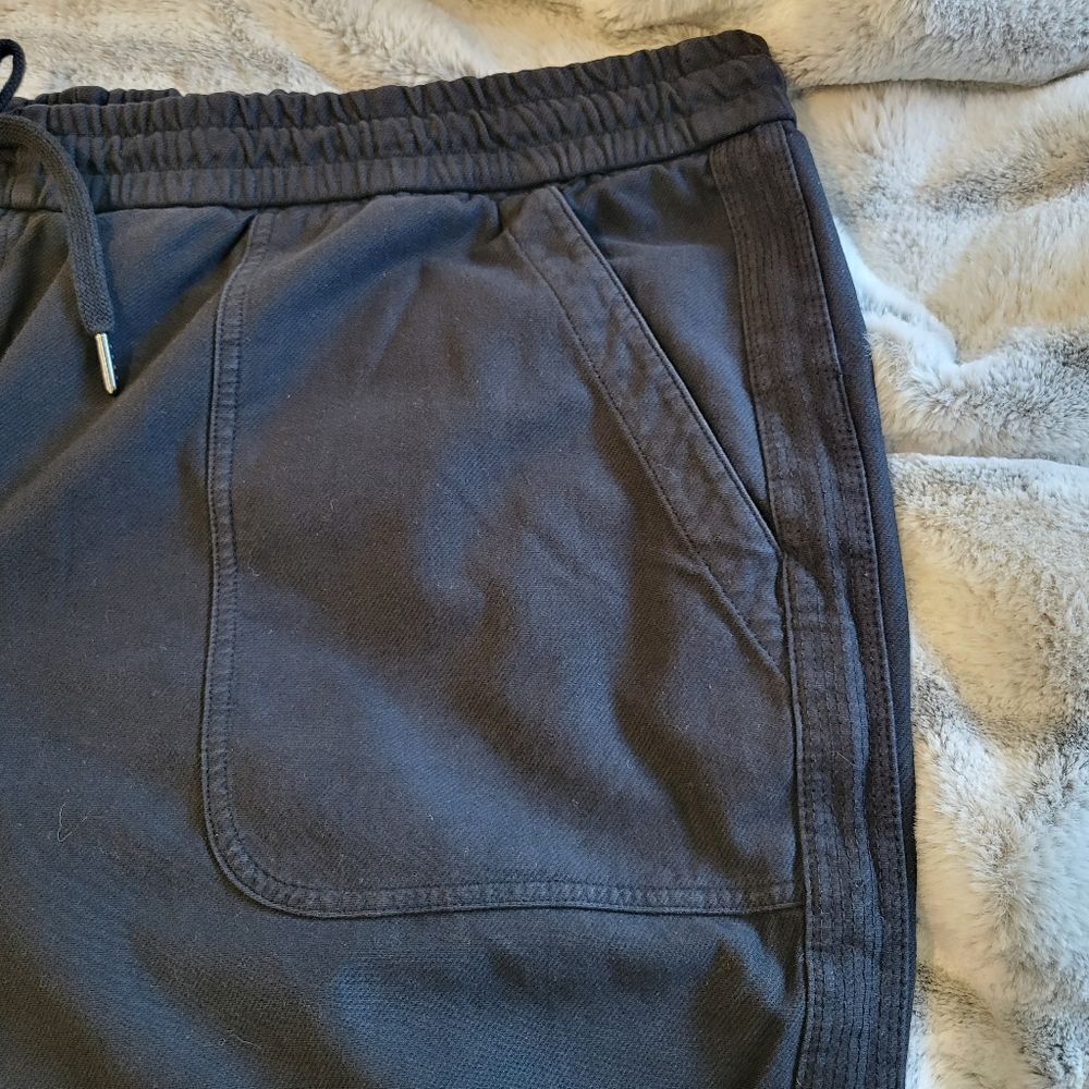 Athleta Plus Size Farallon Jogger Pants, Size 26 - Picture 6 of 13